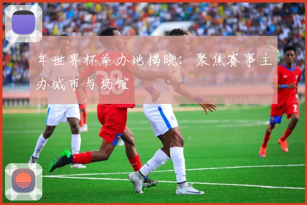 年世界杯举办地揭晓：聚焦赛事主办城市与场馆